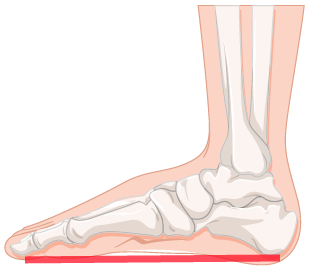 arch support flat foot insoles